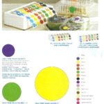 Food Safety Solutions Ecolbab. Etiquetas de color sólido.