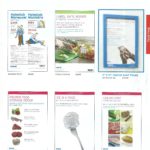 Food Safety Solutions Ecolbab. Posters Laminados.