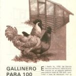 Gallinero Para 100 Aves